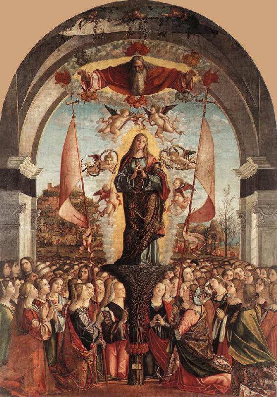 CARPACCIO, Vittore Apotheosis of St Ursula dfg oil painting image